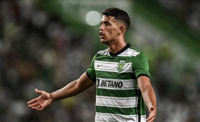 当我们提及 当我们提及